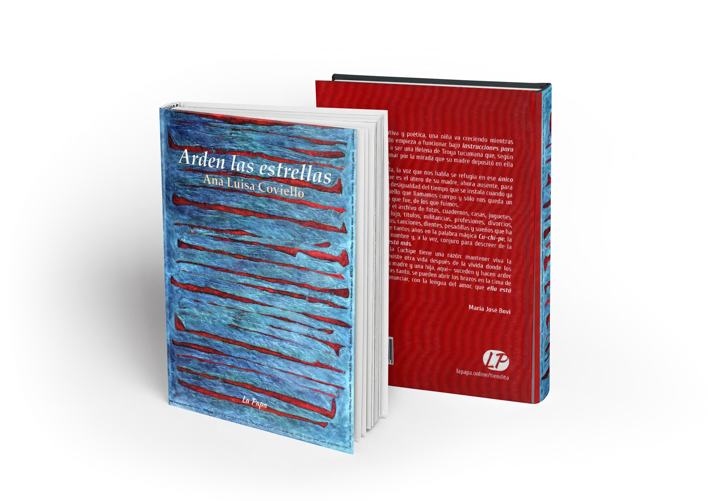 Portada del libro Arden las estrellas de Ana Luisa Coviello