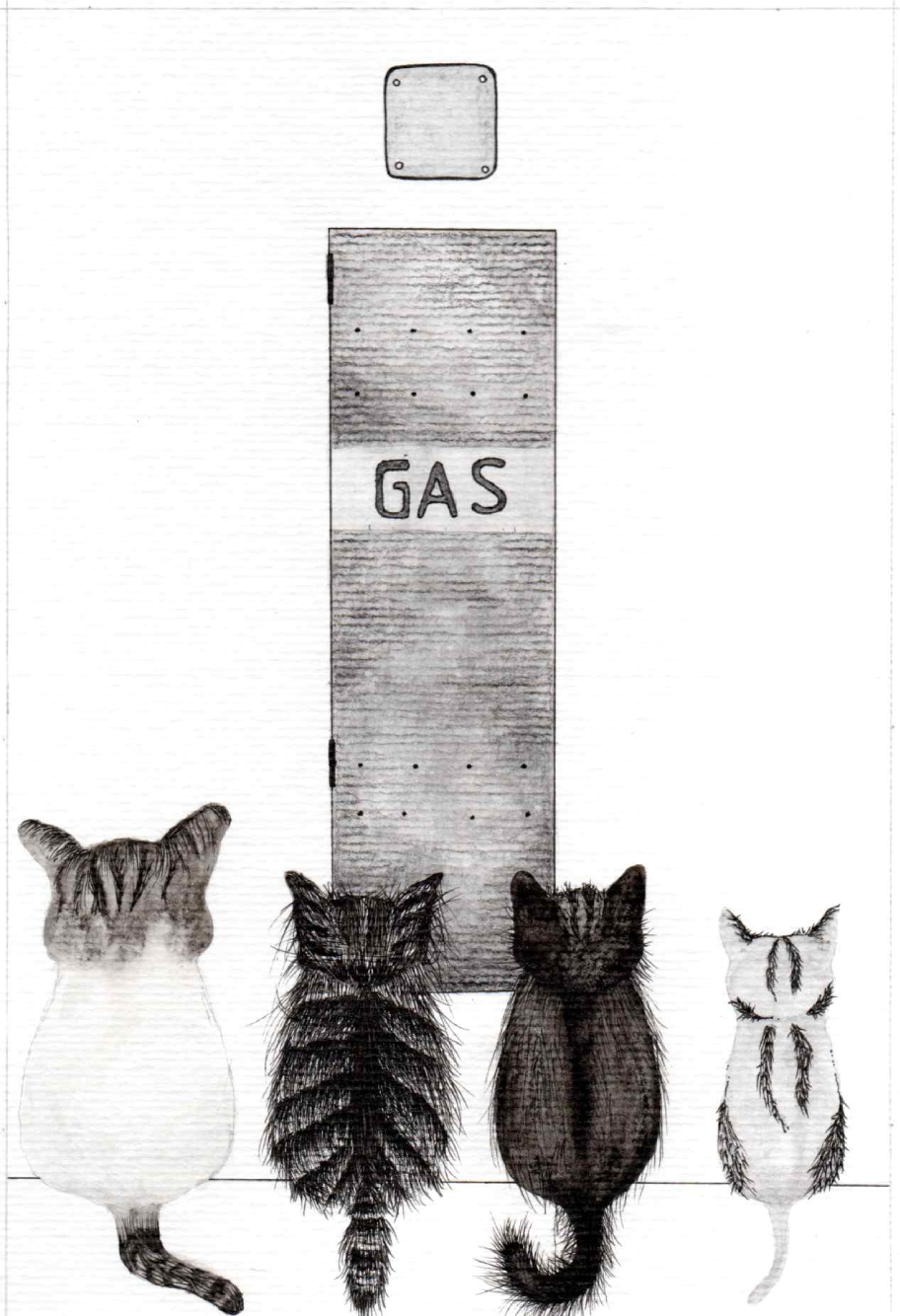 Portada del libro Cuatro lindos gatitos de Ana Luisa Coviello